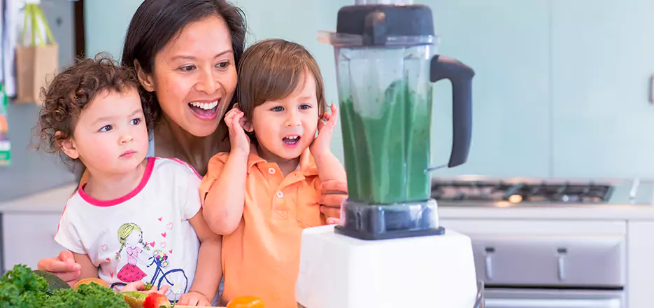 Juicer and Mixer Blender Repair in Greenwich