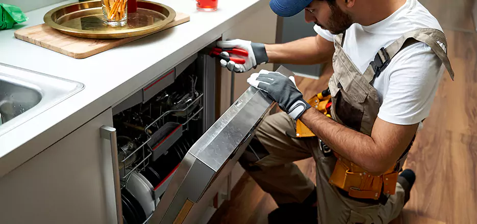 Same Day Dishwasher Not Draining Repair in Greenwich